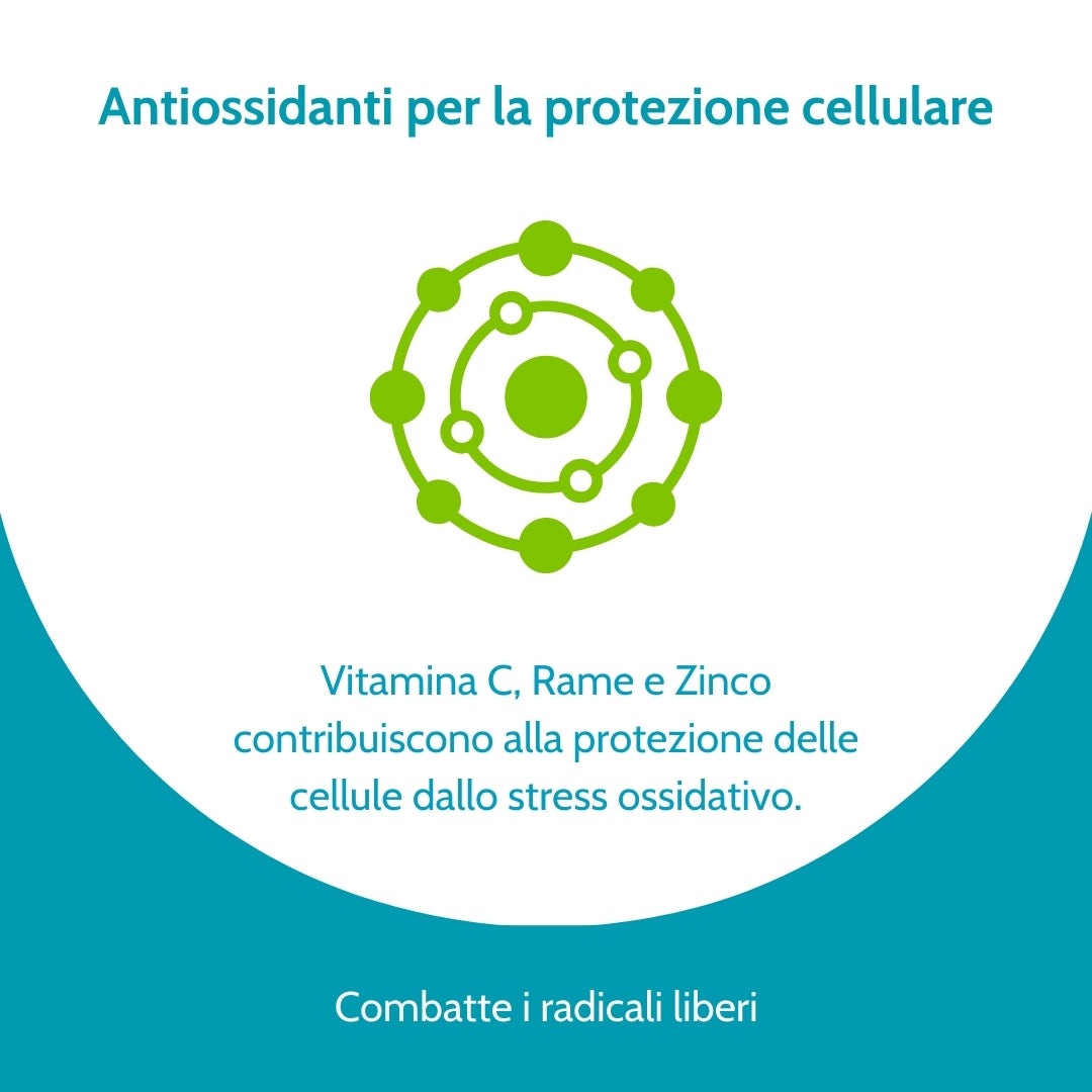 Herpasovir – Integratore Alimentare per il Supporto del Sistema Immunitario