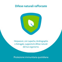 Herpasovir – Integratore Alimentare per il Supporto del Sistema Immunitario